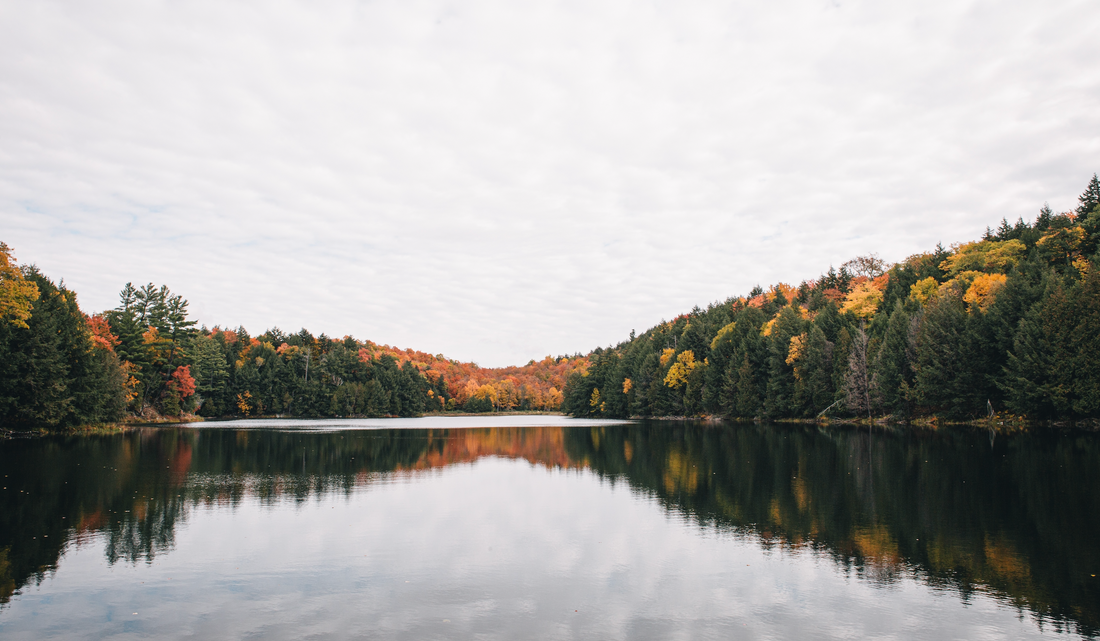 Top 5 locations to paddleboard in Quebec during fall